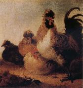 Aelbert Cuyp Rooster and Hens oil on canvas
